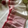 Gauri – Pure Cotton Woven Border Saree